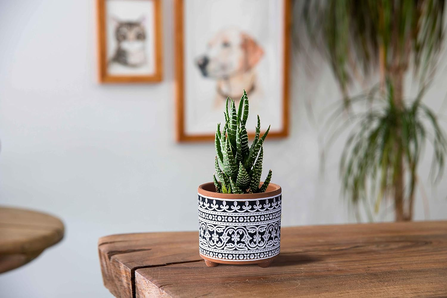 2-Pack Terracotta Pots, 4/6 In, Midnight Lace, 31-953-F-2 | Hand-Painted Details, Three-Legged Design, Natural Clay Texture, Artisan Patterned Finish, Elegant Accent for Indoor Plants