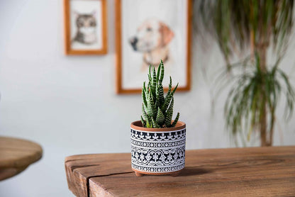 2-Pack Terracotta Pots, 4/6 In, Midnight Lace, 31-953-F-2 | Hand-Painted Details, Three-Legged Design, Natural Clay Texture, Artisan Patterned Finish, Elegant Accent for Indoor Plants